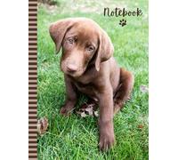 Notebook: Large Hardcover 8.5x11 Composition Journal / 100 Sheets / College Ruled Diary - Blank Numbered Pages / Chocolate Brown Labrador Retriever ... Taking Gift For Home-School - Work - Writing