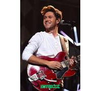 Notebook : Niall Horan Notebook 100 pages | Thankgiving Notebook | Diary For Students, Teens, and Kids #556