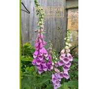 Notebook Pretty Cotswold Countryside A5 120 pages lined for Nature Lovers: Perfect for journaling, countryside walks, or a thoughtful gift for nature ... pretty picture of the Cotswold countryside.
