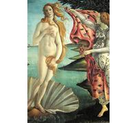 Notebook: Venus Roman Goddess of Beauty & Love Botticelli Artwork Inspired Notebook