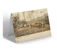 NOTELET - Vintage Alabama USA - Mobile. From Forest to Mill (bc)