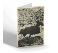 NOTELET - Vintage Channel Islands - Side Cave & Ferns.Devil's Hole, Jersey
