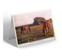 NOTELET - Vintage Devon - Dartmoor Ponies at the Tors, Yelverton (b)