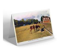 NOTELET - Vintage Devon - Dartmoor Ponies On the Green At Yelverton (b)