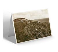 NOTELET - Vintage Devon - Dowlands Landslide, Rousdon (a)
