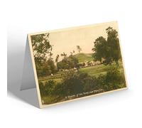 NOTELET - Vintage Hampshire - A Glimpse Of the Forest, near Blashford