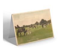 NOTELET - Vintage Hampshire - Forest Ponies, Picket Post (a)
