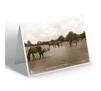 NOTELET - Vintage Hampshire - Forest Ponies, Picket Post (b)