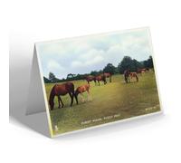 NOTELET - Vintage Hampshire - Forest Ponies, Picket Post (bc)