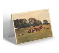 NOTELET - Vintage Hampshire - New Forest Ponies (b)