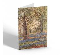 NOTELET - Vintage Hampshire - The New Forest. Bluebells In May