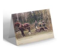 NOTELET - Vintage Maine USA - Houlton. Bringing out the Trophy (b)