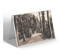 NOTELET - Vintage Norfolk - Royal Walk from House to Church, Sandringham