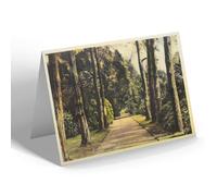 NOTELET - Vintage Norfolk - Royal Walk from House to Church, Sandringham b
