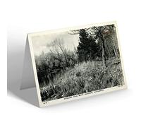 NOTELET - Vintage Northamptonshire - Woodland Walks, Billing Aquadrome