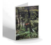 NOTELET - Vintage Wales - The Twin Tree, Devil's Bridge (b)