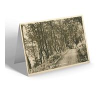 NOTELET - Vintage Yorkshire - A Leafy Lane near Grosmont
