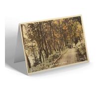 NOTELET - Vintage Yorkshire - A Leafy Lane near Grosmont (b)