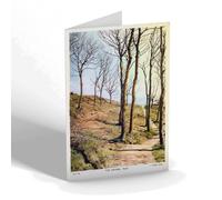 NOTELET - Vintage Yorkshire - The Ravine, Filey (bc)
