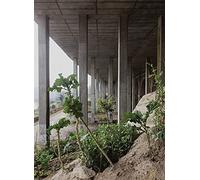 Notes from the Underdog: Agriculture for Subsistence in Porto