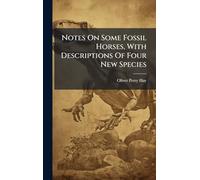 Notes On Some Fossil Horses, With Descriptions Of Four New Species