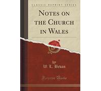 Notes on the Church in Wales (Classic Reprint)