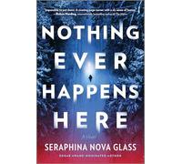 Nothing Ever Happens Here: A Thriller