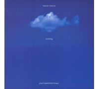 Nothing (Paul Oakenfold Mixes) [12" Vinyl]