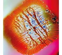 Nothing Stands Still [VINYL]