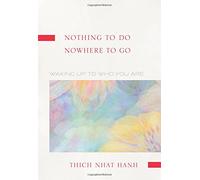 Nothing to Do, Nowhere to Go: Reflections on the Teachings of ZEN Master Lin Chi