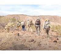 Nothing Ventured, Nothing Gained