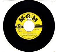 NOTHING WILL EVER CHANGE / DOES IT SHOW (45/7")