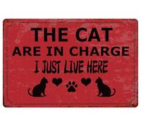 Notice Metal Signs The Cat Are In Charge I Just Live Here Sign For Pub Bar Man Cave Club Decoration 8x12inches
