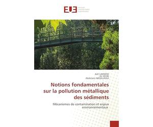Notions fondamentales sur la pollution métallique des sédiments: Mécanismes de contamination et enjeux environnementaux