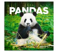 NOTIQUE Wall Calendar 2026 Pandas, Monthly Calendar in Brochure, Aesthetic Design 30 x 30 cm (Open 30x60)