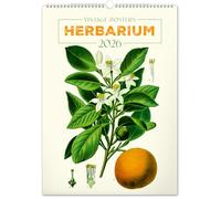 NOTIQUE Wall Calendar 2026 Vintage Poster - Herbarium - Plant Illustrations & Nature Poster - Picture Calendar 33 x 46 cm