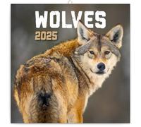 NOTIQUE Wolves Wall Calendar 2025 Calendar, Brochure Calendar with Monthly Calendar, Brochure Calendar Animal Calendar 30 x 30 cm (30 x 60 Open)