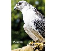 Notizen: Gerfalke auf Falknerhandschuh, Falknermotiv. Format A5, 120 Seiten, dezent grau liniert. Tageseintragungen, Notizen und Journal, Merkheft und ... die Falknerin, Natur- und Vogelfreunde.