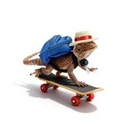 NOTLZPLS Bearded Dragons Accessories Toy Clothes 3 Pack Lizard Backpack Adjustable Hat and Mini Skateboard Fit for Lizard Bearded Dragons Hamster Parrot Little Turtle Reptiles Small Animals
