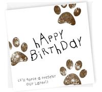 NotNiceThings Birthday Card From the Dog with Guilty Puppy Confession Text About Chewed Slippers, Blank Inside, Rude Card for Owners, 15 x 15 cm Square