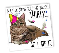 NotNiceThings Cat 30th Birthday Card, Old Age Funny 30th Birthday Card, Cat Card, 30th Card for Son, Daughter, Dad, Mum, Him, Her, 30th Gift