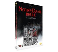 Notre-Dame brûle