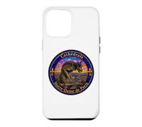 Notre-Dame Cathedral Paris Gargoyle Stained Glass Print Case for iPhone 12 Pro Max