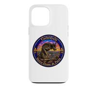 Notre-Dame Cathedral Paris Gargoyle Stained Glass Print Case for iPhone 13 Pro Max