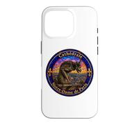 Notre-Dame Cathedral Paris Gargoyle Stained Glass Print Case for iPhone 16 Pro
