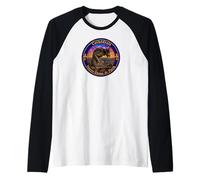 Notre-Dame Cathedral Paris Gargoyle Stained Glass Print Raglan Baseball Tee
