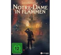 Notre Dame in Flammen - Notre Dame in Flammen [Import]