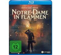 Notre Dame in Flammen - Notre Dame in Flammen