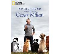 Notruf Hund - Einsatz für Cesar Millan