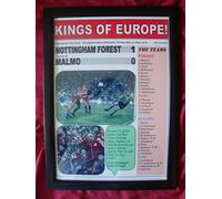 Nottingham Forest 1 Malmo 0 - 1979 European Cup final - framed print